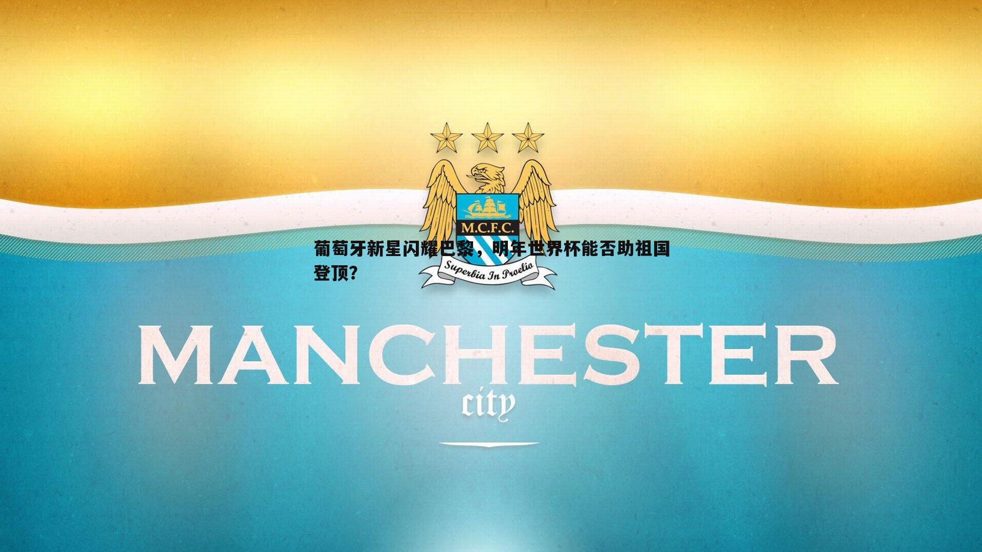 葡萄牙新星闪耀巴黎，明年世界杯能否助祖国登顶？